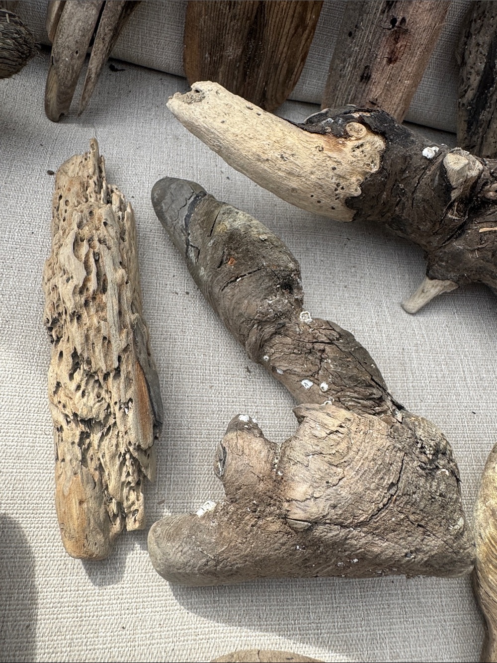 For LYNDA 19 pc (5 lb shipped) Natural Driftwood for Craft, Projects, Upcycle - Picture 8 of 16